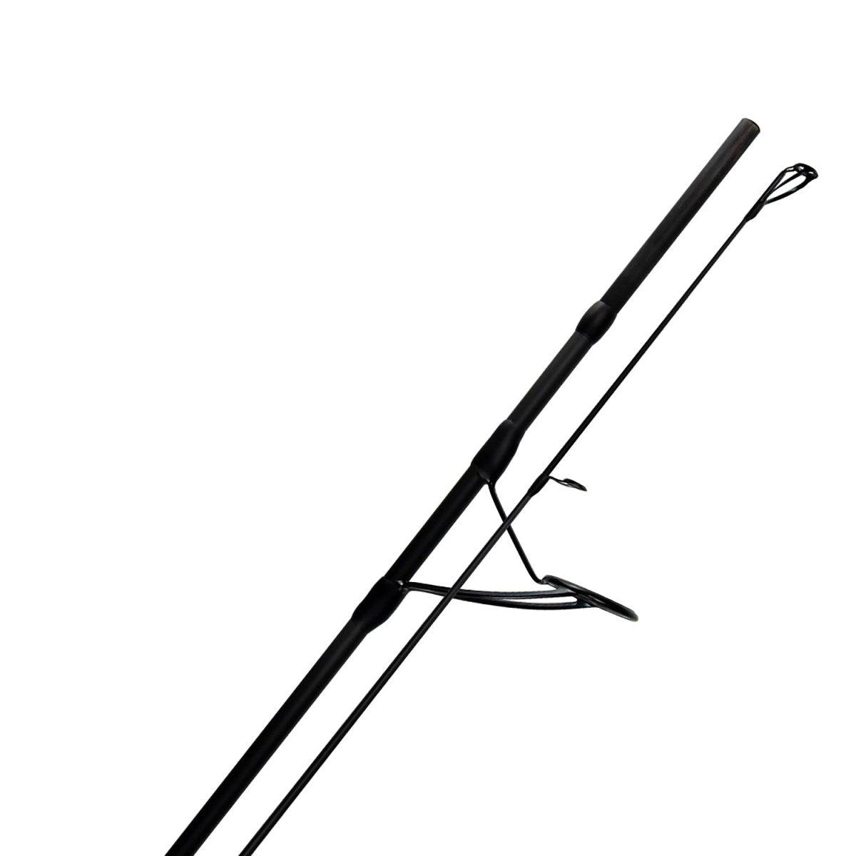 Force Carp 10ft 2sec. 3.25lbs con Anelli - Canna Carpfishing - Playfishing