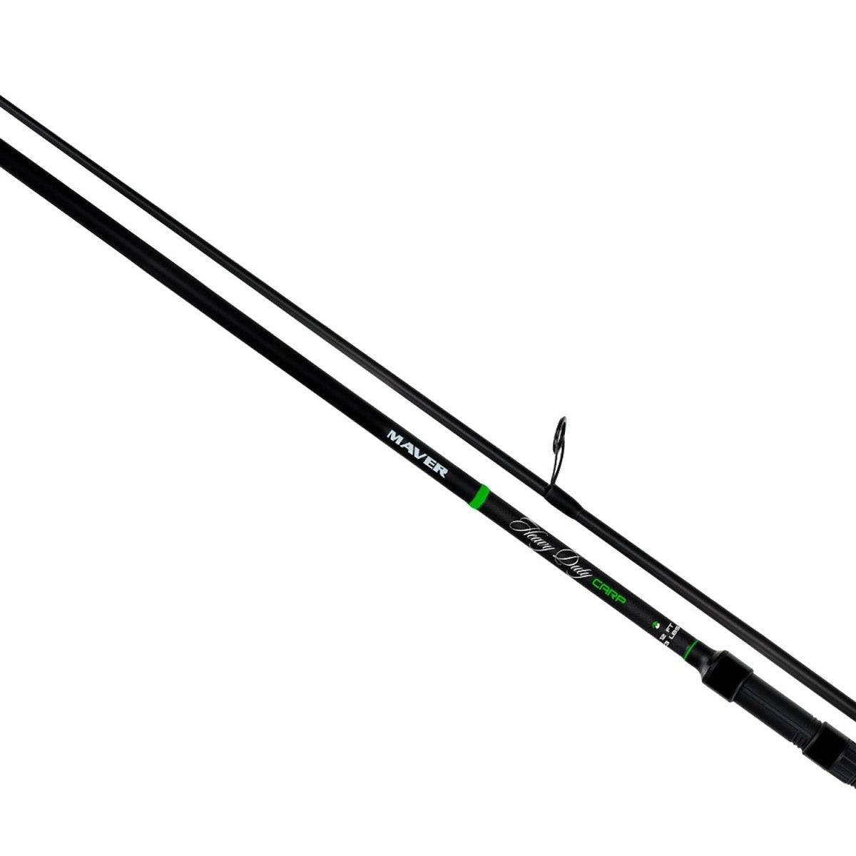 Heavy Duty Carp 2sec. con Anelli - Canna Carpfishing - Playfishing