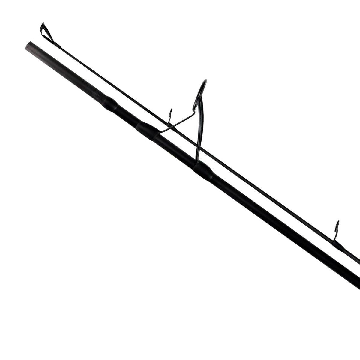 Heavy Duty Carp 2sec. con Anelli - Canna Carpfishing - Playfishing