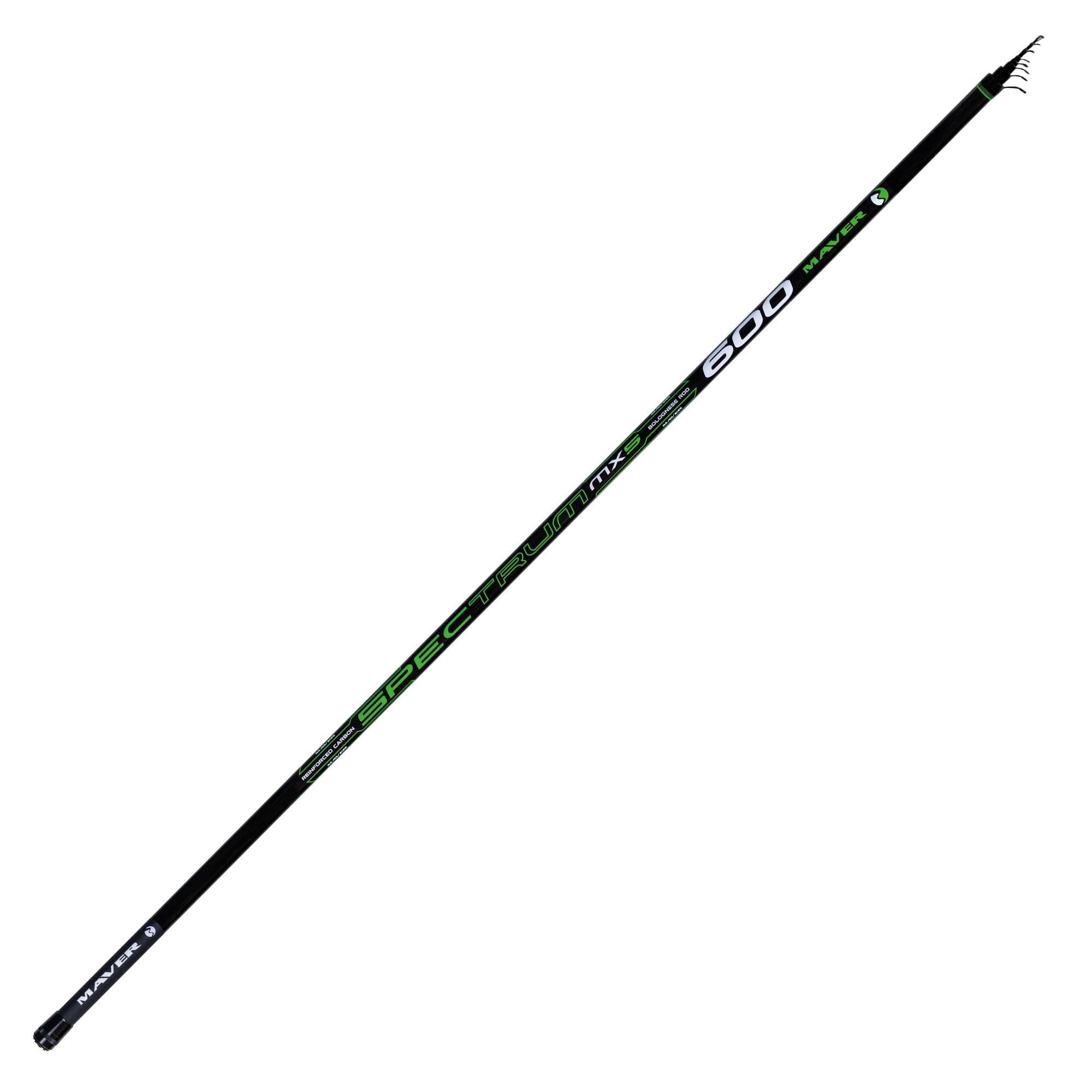 Canna Spectrum Bolo MX5 - Canna Bolognese