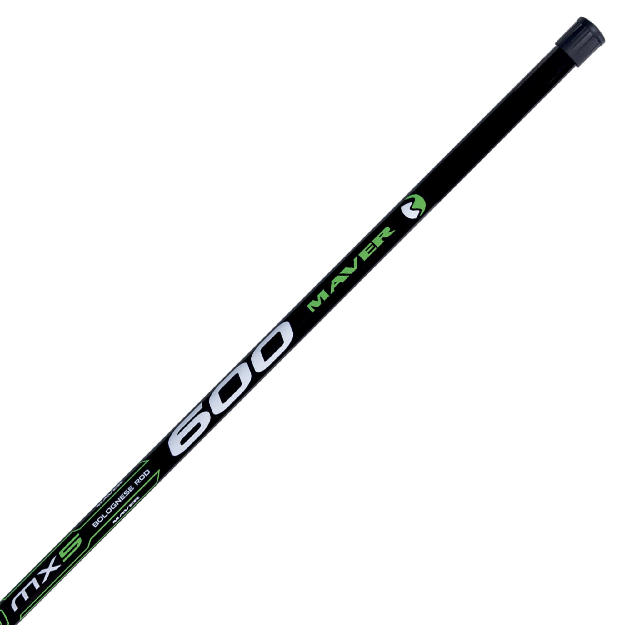 Canna Spectrum Bolo MX5 - Canna Bolognese