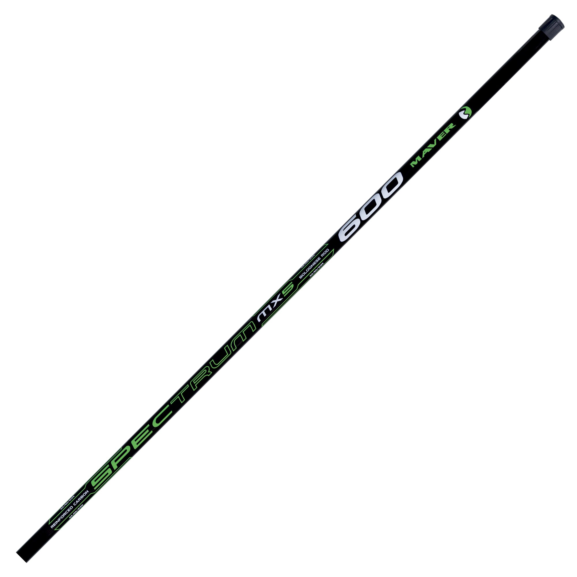 Canna Spectrum Bolo MX5 - Canna Bolognese