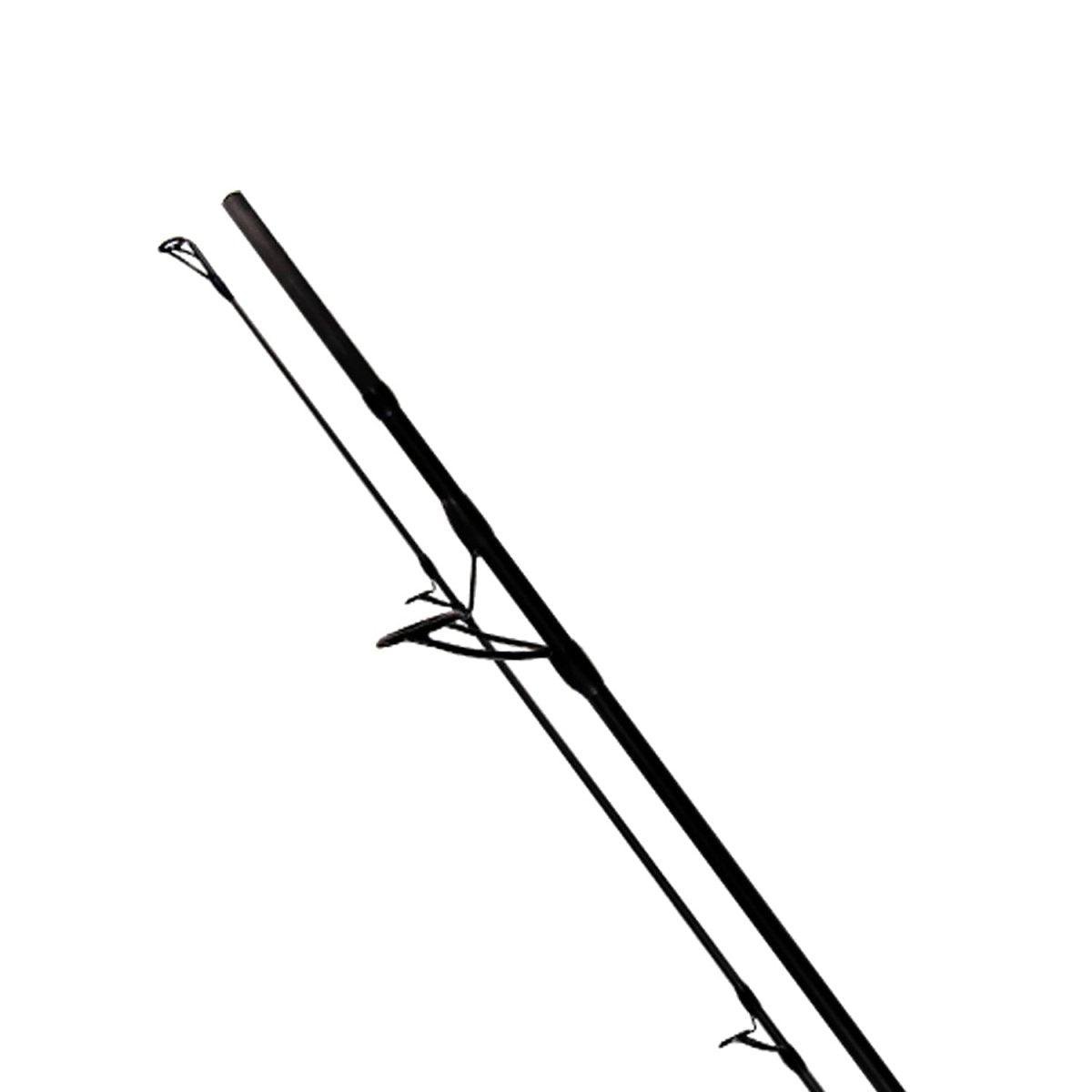 Hammer Carp 2Sec. 10ft 3.75lbs con Anelli - Canna Carp Fishing - Playfishing